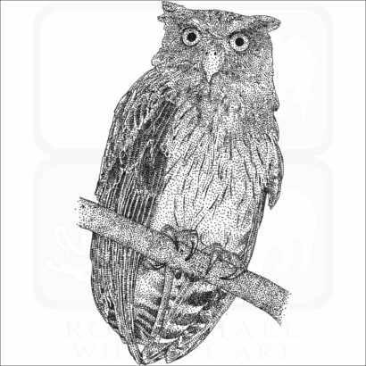 Philippine Eagle Owl