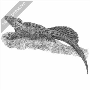 Philippine Sailfin Lizard