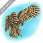 Verreaux's Eagle-Owl Stock image