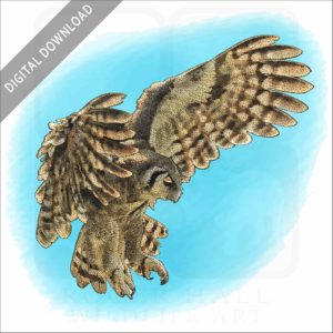Verreaux's Eagle-Owl Stock image