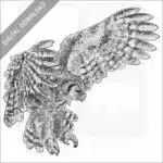 Verreaux's Eagle-Owl