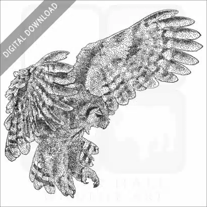 Verreaux's Eagle-Owl