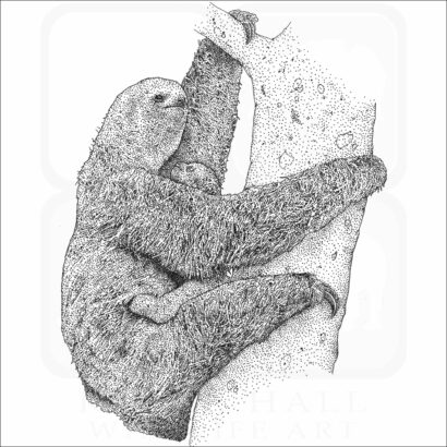 Pale-Throated Sloth