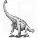 Paluxysaurus