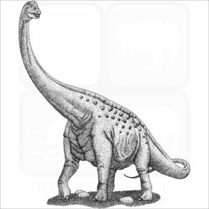 Paluxysaurus