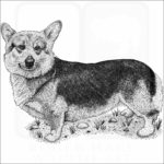 Pembroke Welsh Corgi