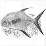 Permit