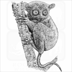 Philippine Tarsier