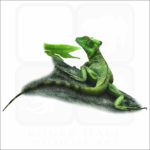 Plumed Basilisk illustration