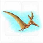 Pteranodon or Pterodactyl illustration