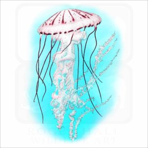 Purple-Striped Jellyfish illustration