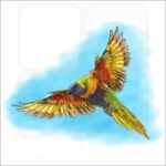 Rainbow Lorikeet illustration