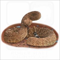 Red Diamond Rattlesnake illustration