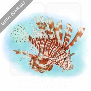 Red Lionfish stock image
