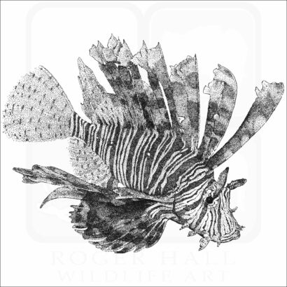 Red Lionfish