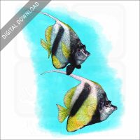 Red Sea Bannerfish stock image