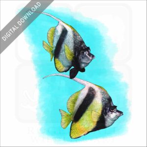 Red Sea Bannerfish stock image