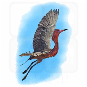 Reddish Egret illustration