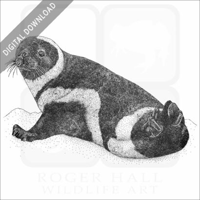 Ribbon Seal