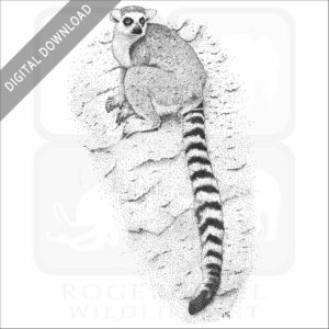 Ring-Tailed Lemur
