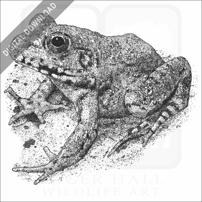 River Frog