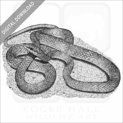 Rough Green Snake