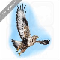 Rough-Legged Hawk stock image