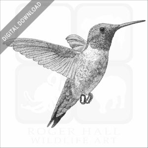 Ruby-Throated Hummingbird