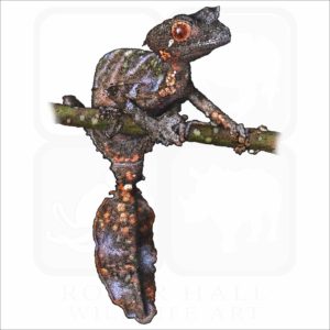 Satanic Leaf-tailed Gecko illustration