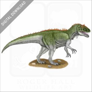 Saurophaganax stock image