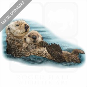 Southern Sea Otter stock image
