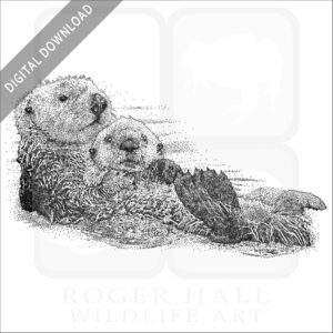 Southern Sea Otter