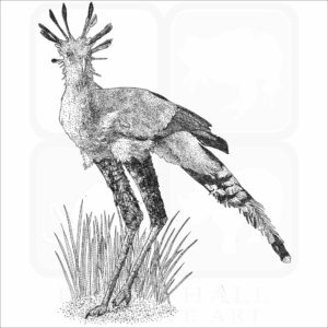 Secretarybird