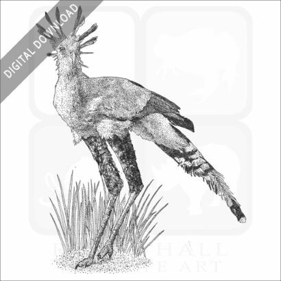 Secretarybird
