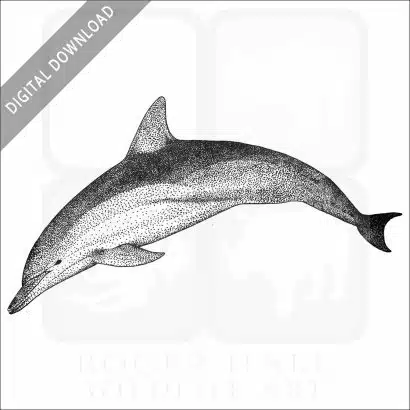 Short-Beaked Common Dolphin
