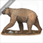 Short-Faced Bear stock image