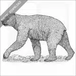 Short-Faced Bear
