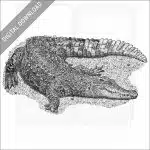 Siamese Crocodile