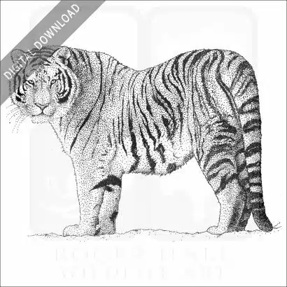 Siberian or Amur Tiger