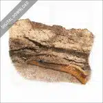 Skade's Jumping Slug stock image