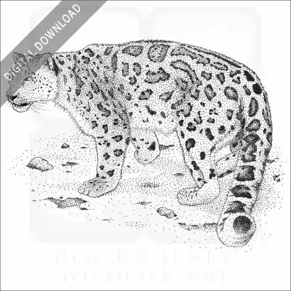 Snow Leopard