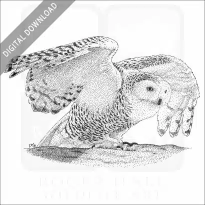 Snowy Owl