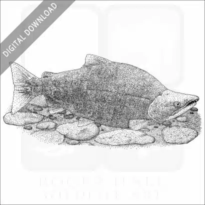 Sockeye Salmon