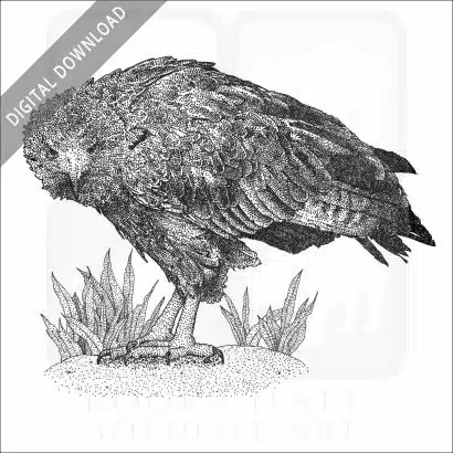 Solitary Eagle