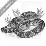 South American Bushmaster