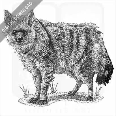 Southern Aardwolf