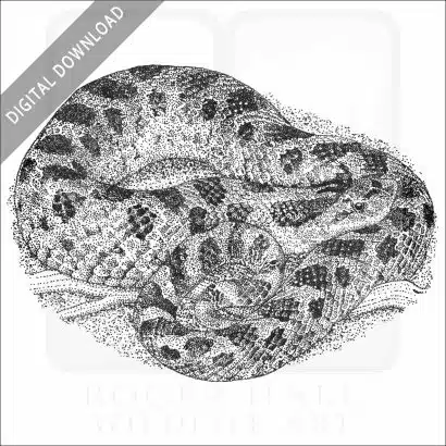 Southern Hognose Snake