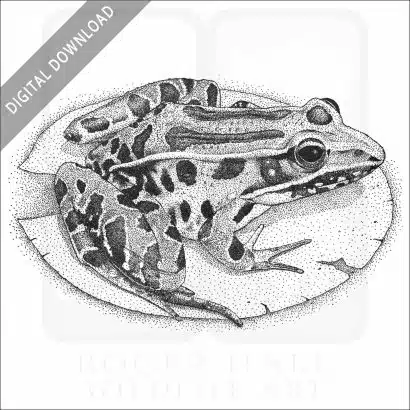 Southern Leopard Frog