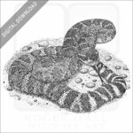 Southern Pacific Rattlesnake