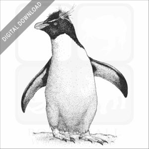 Southern Rockhopper Penguin